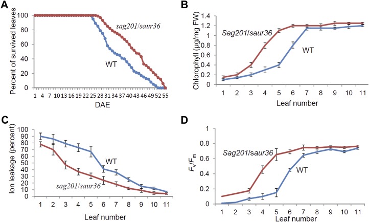 Figure 5.