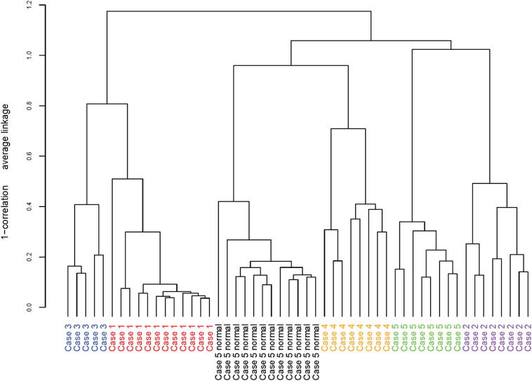 Figure 3