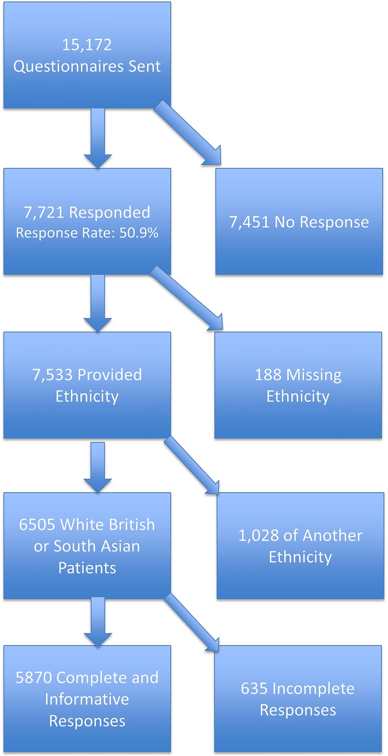 Figure 1