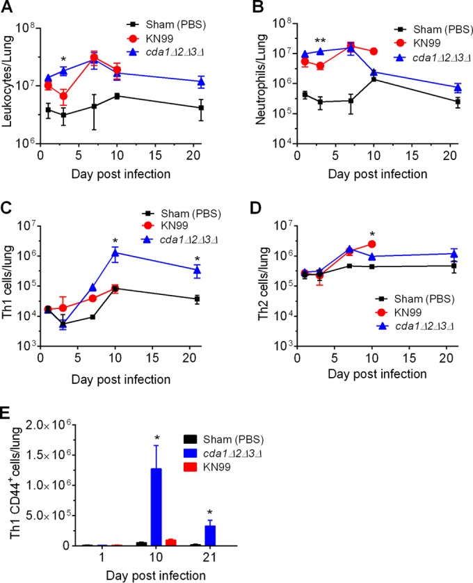 FIG 3 