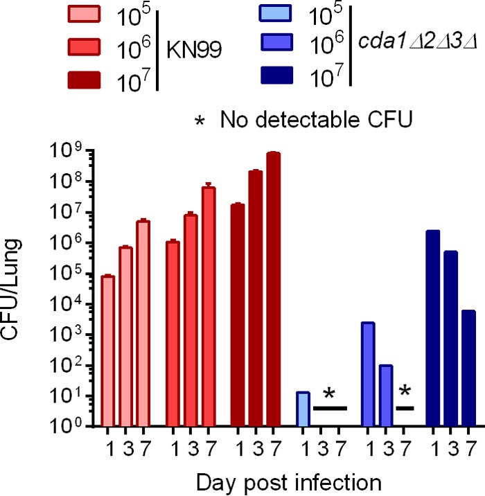 FIG 1 