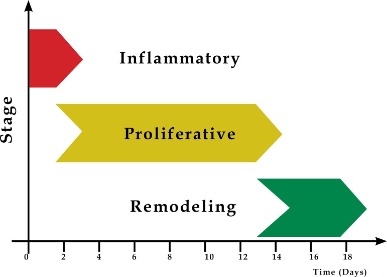 Graph 1