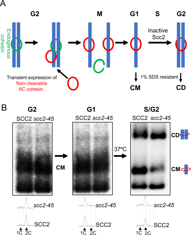 Figure 2.