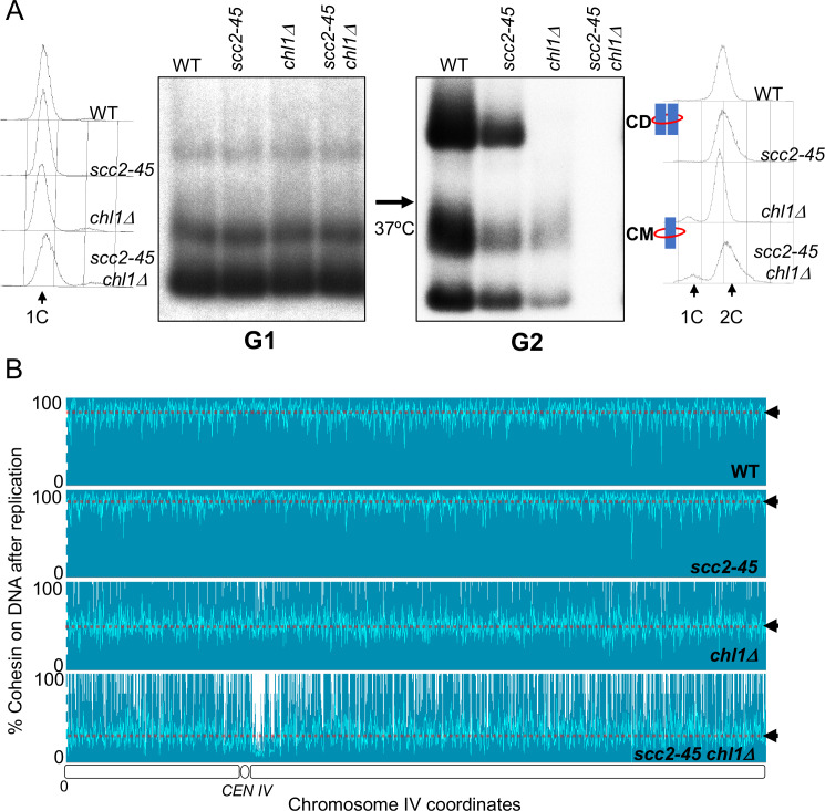 Figure 4.