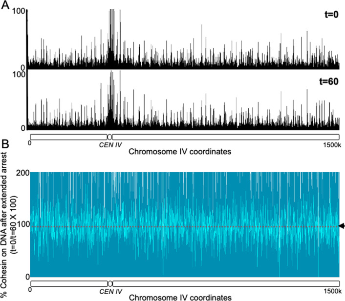 Figure 2—figure supplement 1.