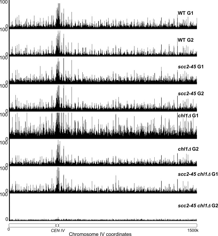 Figure 4—figure supplement 2.