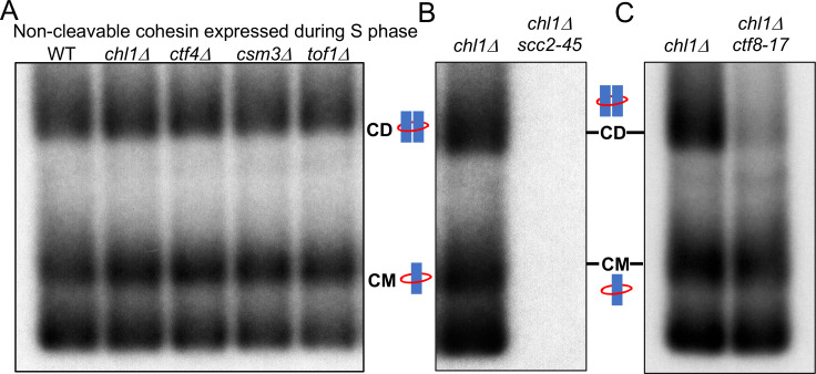 Figure 5.