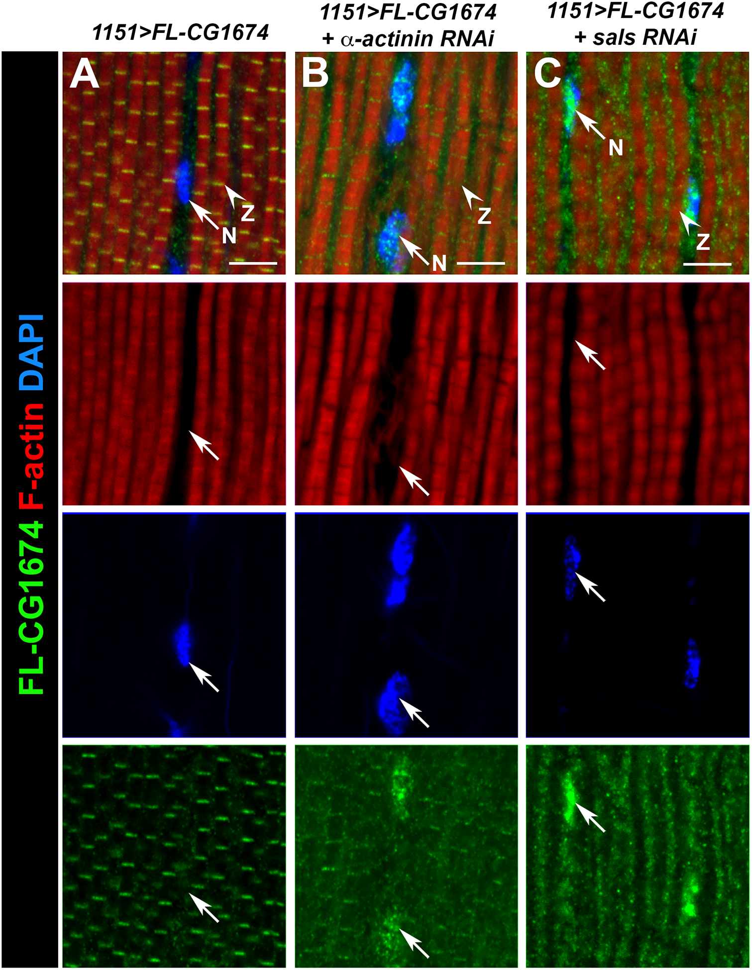 Figure 6.