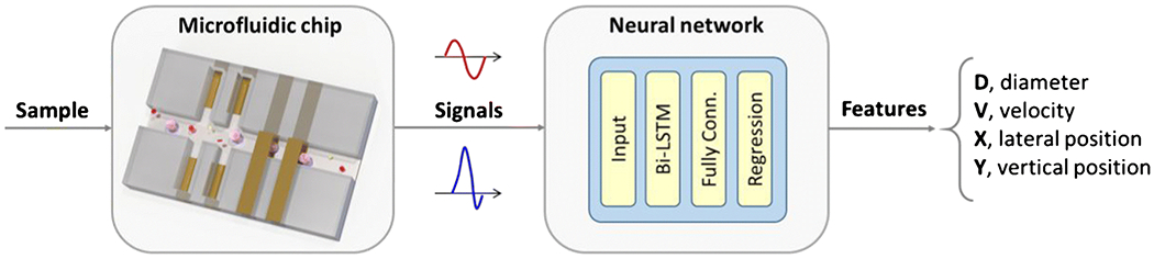 Figure 1: