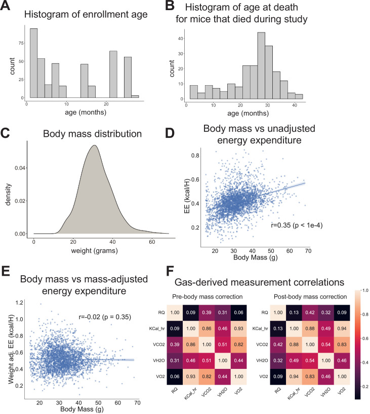 Figure 1—figure supplement 1.