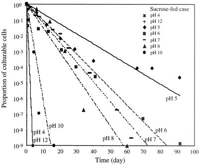 FIG. 6