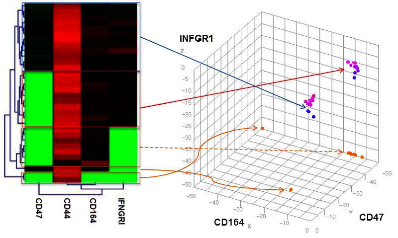 Figure 10.