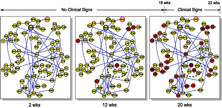 Figure 7.