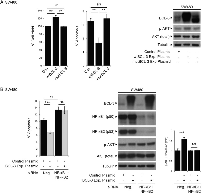 Figure 6