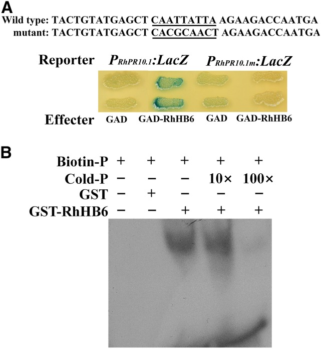 Figure 6.