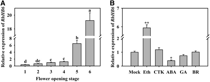 Figure 7.