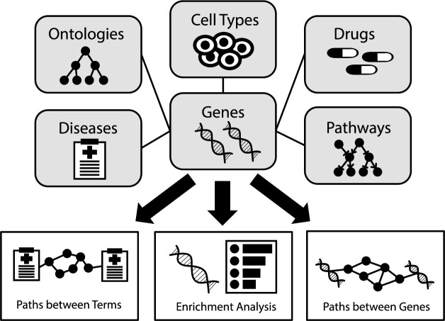 Graphical Abstract