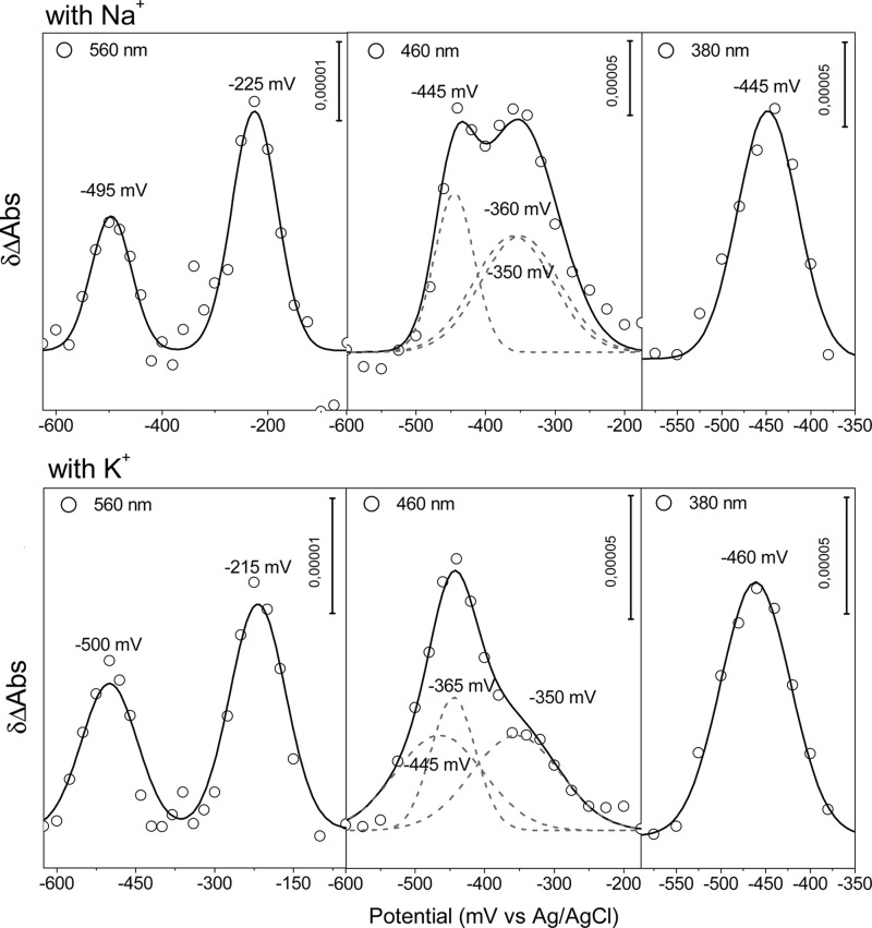 FIGURE 4.