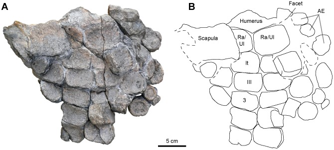 Figure 13