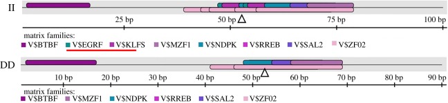 Figure 6.