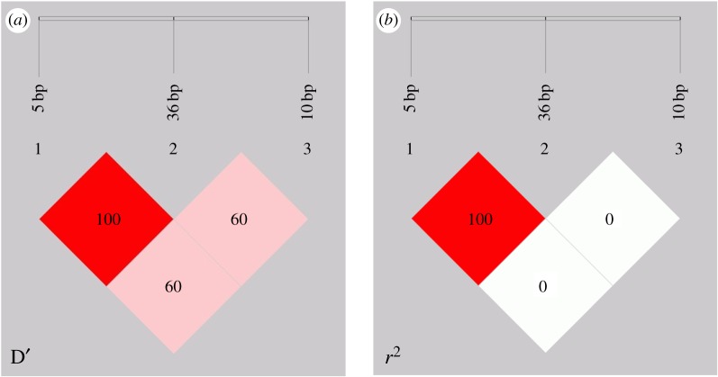 Figure 5.