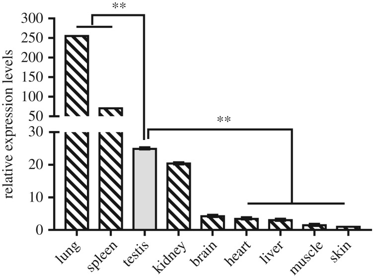 Figure 1.