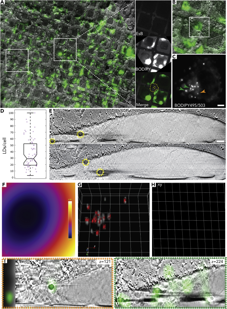 Figure 2