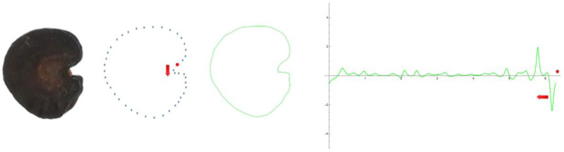 Figure 12