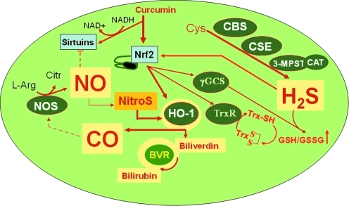 FIG. 6.