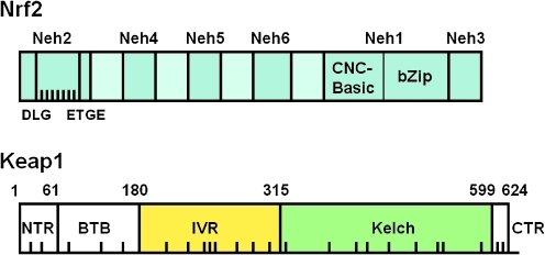 FIG. 8.