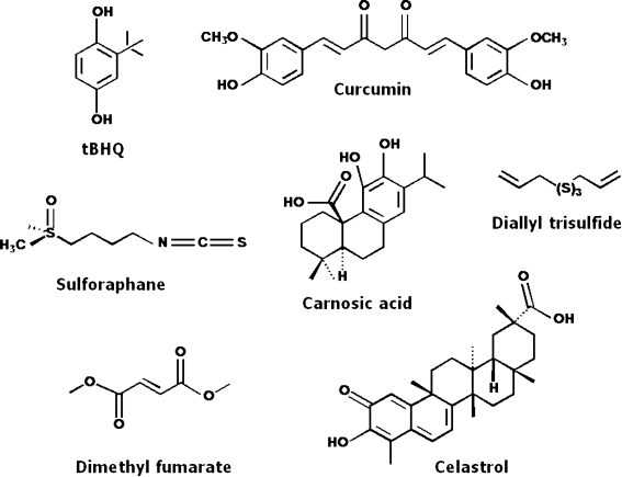 FIG. 9.