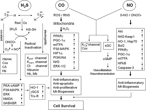 FIG. 12.