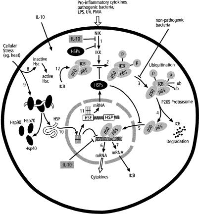 Fig 1.