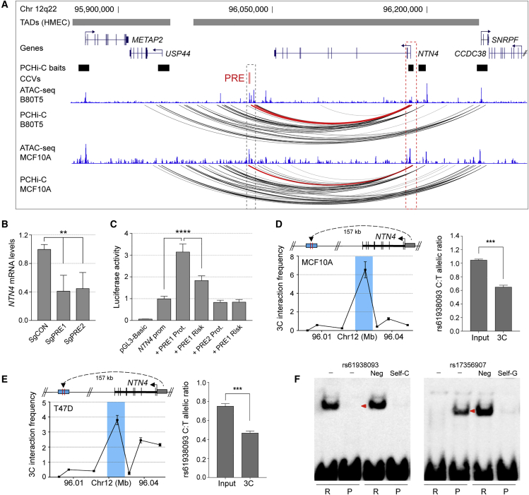 Figure 3