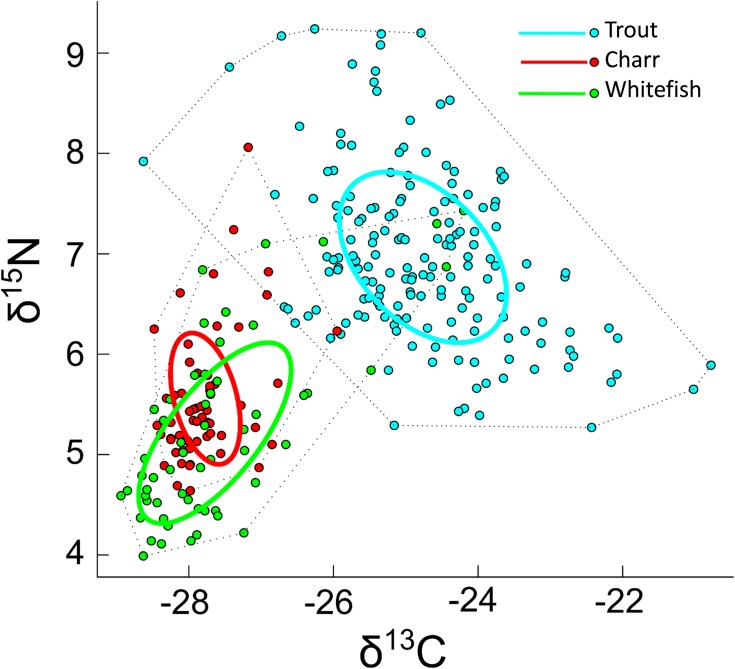 Fig 6