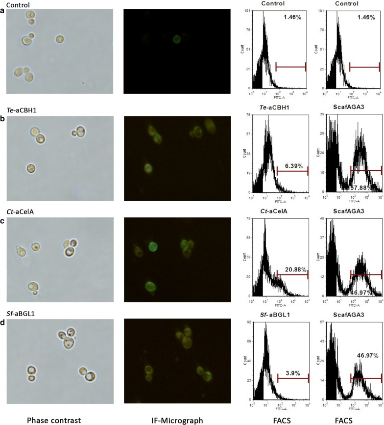 Fig. 4