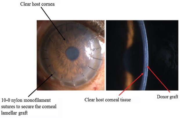 Fig. 9