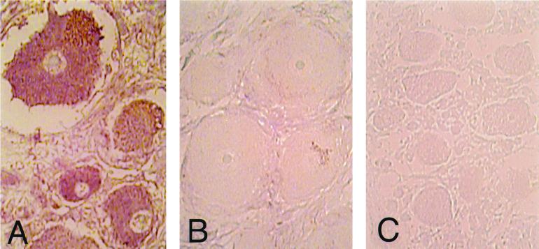 FIG. 9