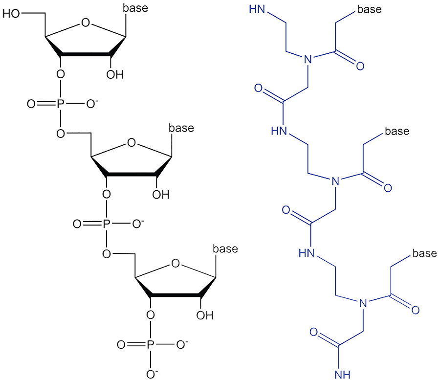 Figure 1: