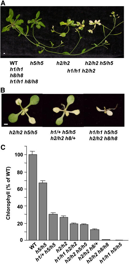 Figure 6.