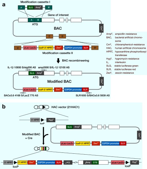 Fig. 2.