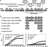 FIG 6