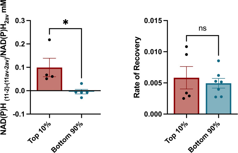 Figure 3—figure supplement 2.