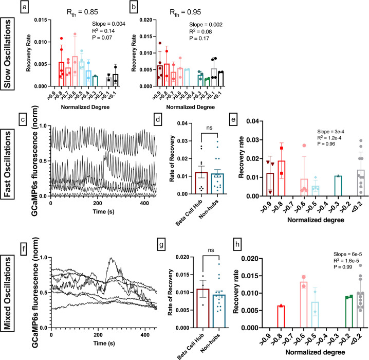 Figure 3—figure supplement 1.