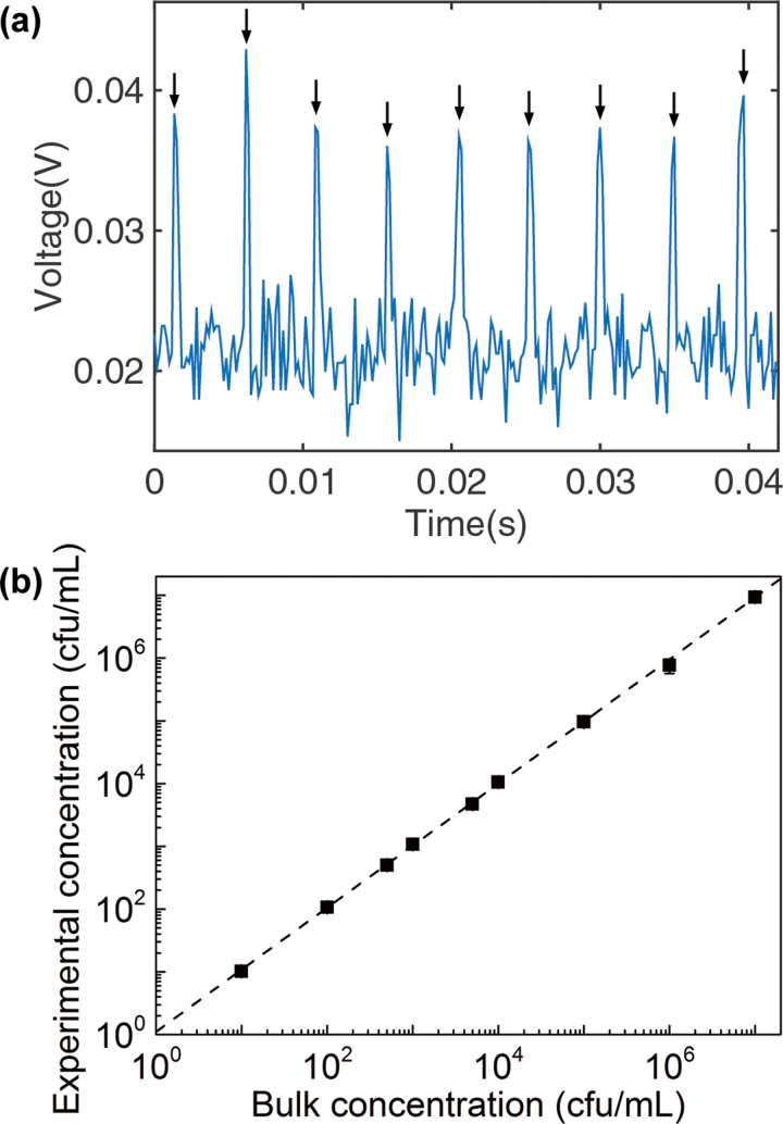 FIG. 4.