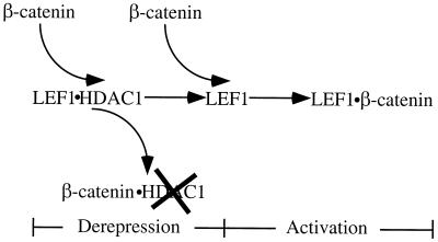 FIG. 6