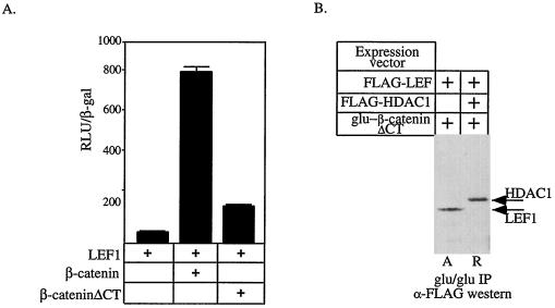 FIG. 7