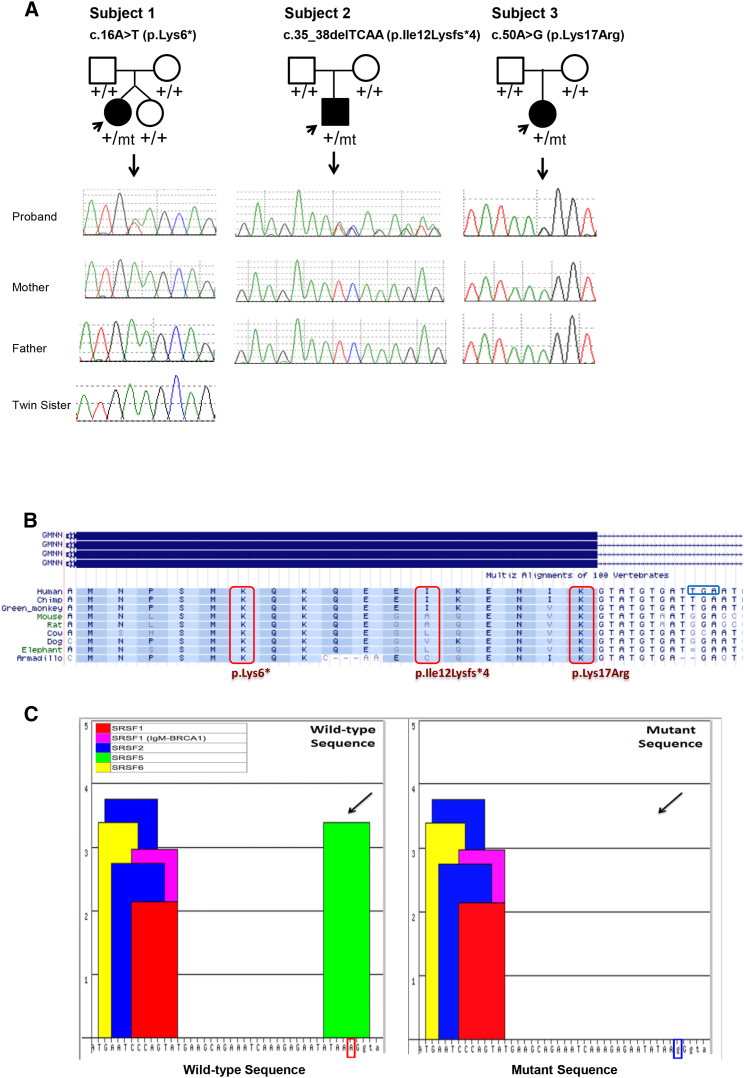 Figure 2