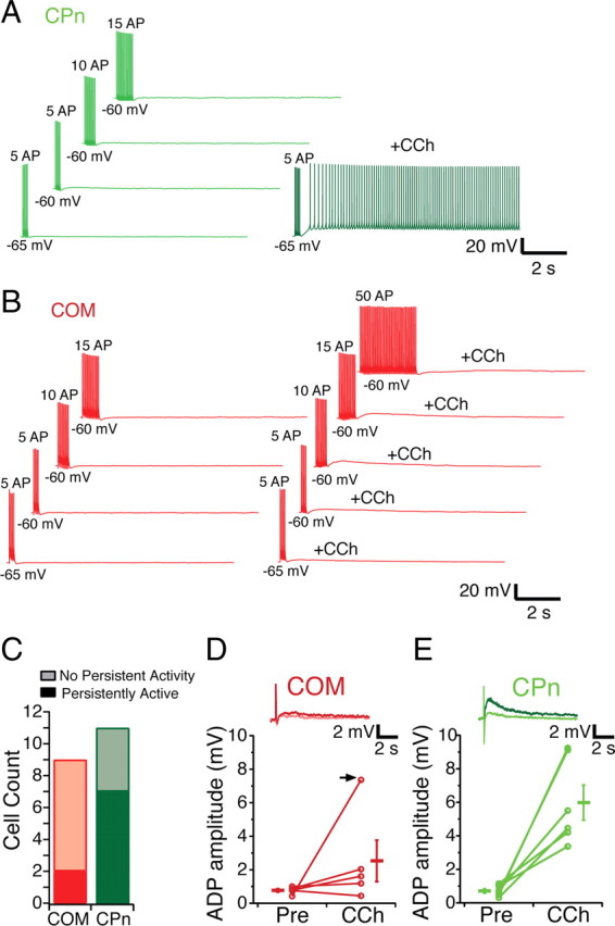 Figure 12.