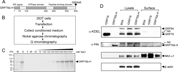 FIGURE 10.